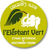 Logo of the elephant vert restaurant, vegetarian and vegan food in luang prabang lao PDR
